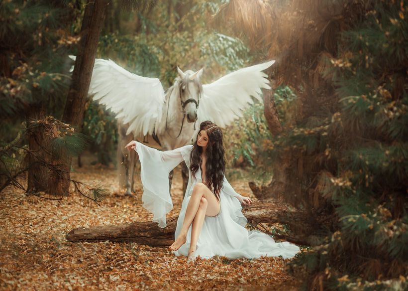 Beautiful, young elf, walking with a unicorn. She is wearing an incredible light, white dress. Artistic Photo